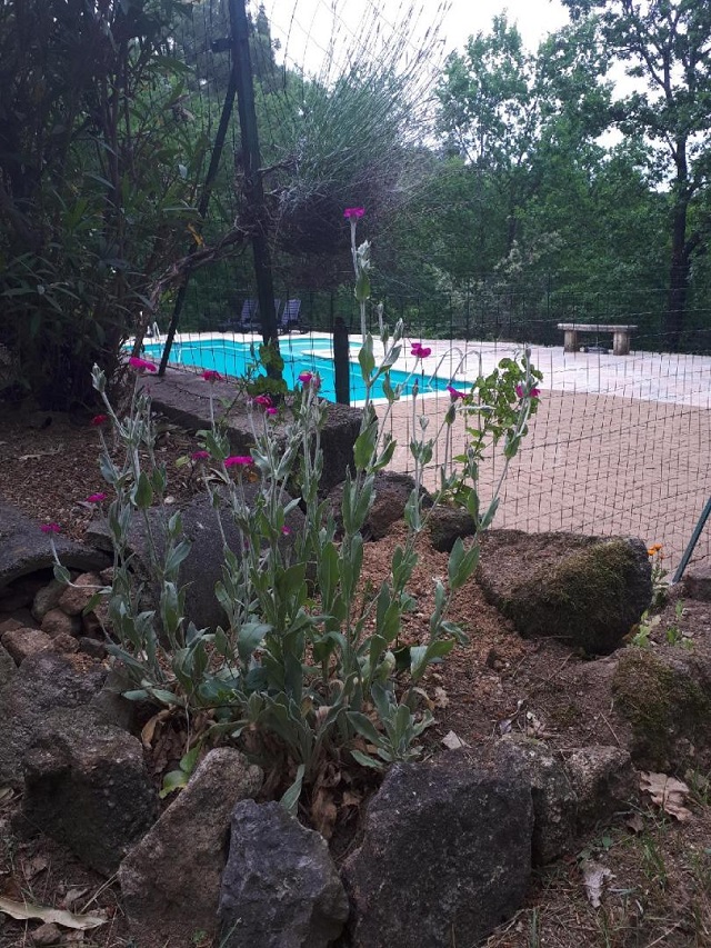 1 mai 2019 piscine