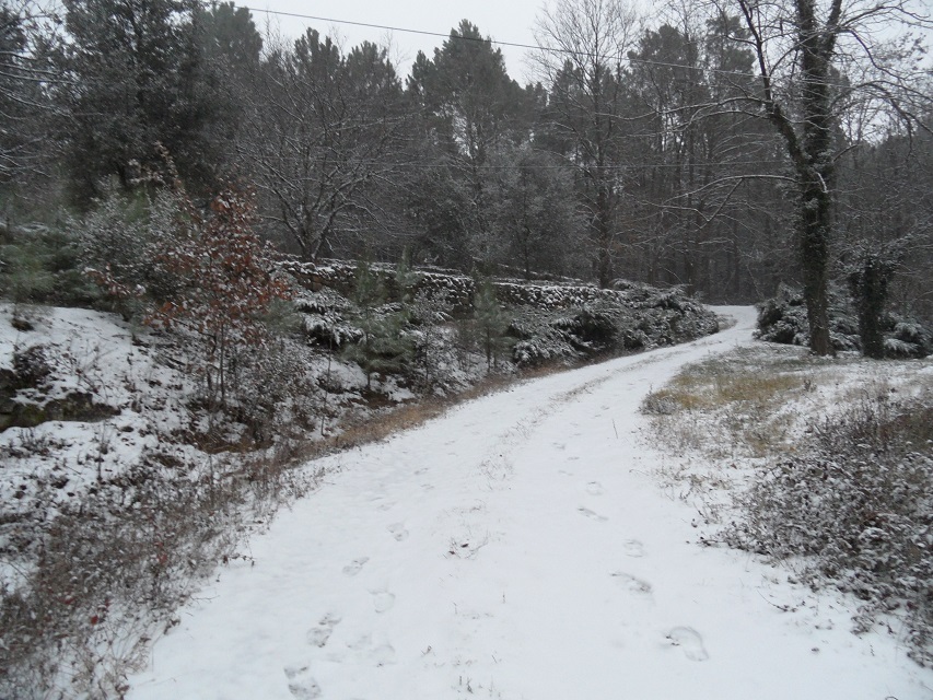 chemin sous la neige