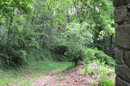 chemin suite à la maison