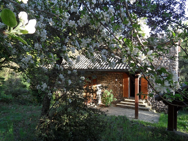photo de la maison en avril