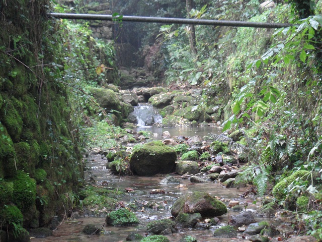 ruisseau venant de Balbiac